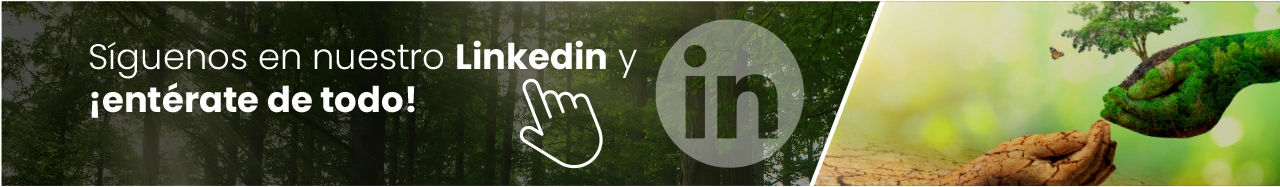 Banner Linkedin