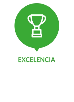 Excelencia